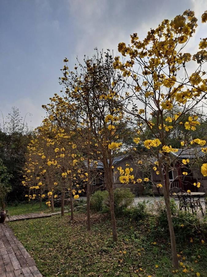 蓬萊生態農場仙山民宿 Наньчжуан Екстер'єр фото